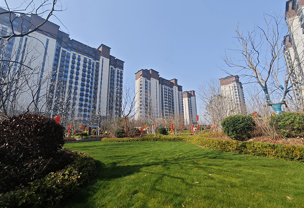 1774574870136935.jpg 1774574870136935.jpg